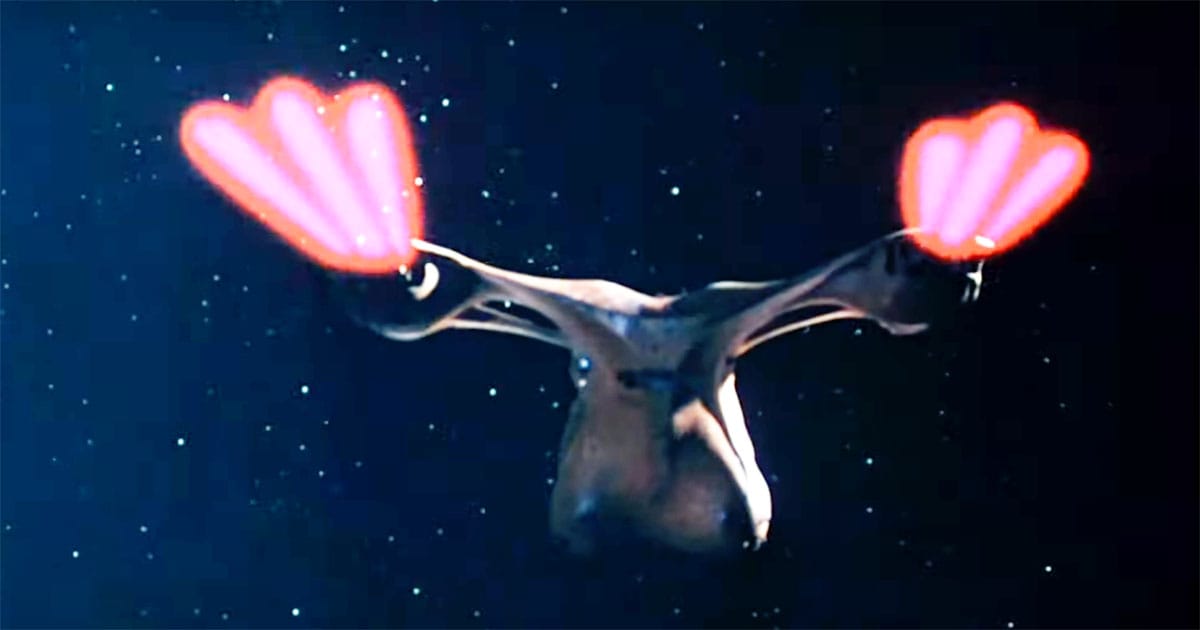 Spaceship with glowing red thrusters from the 1983 film Space Raiders